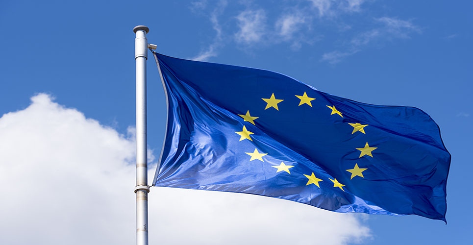 Teva joins the growing list of other major European generics companies