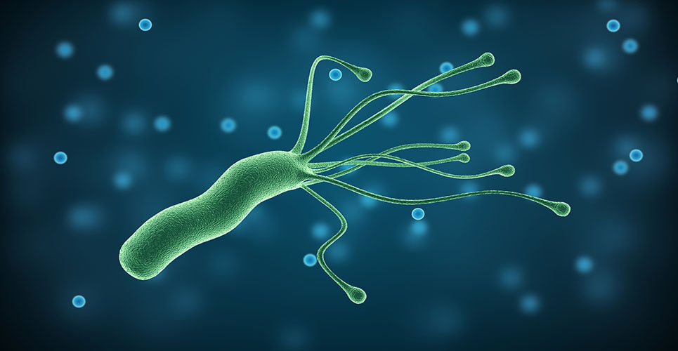 Helicobacter pylori infection: an update