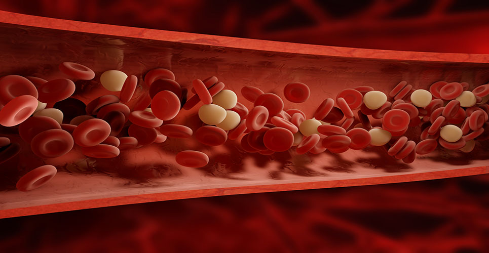 Current issues in the treatment of haemophilia