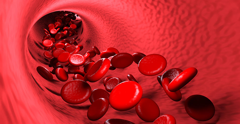 Management of anaemia in patients with chronic kidney disease:current and future treatments