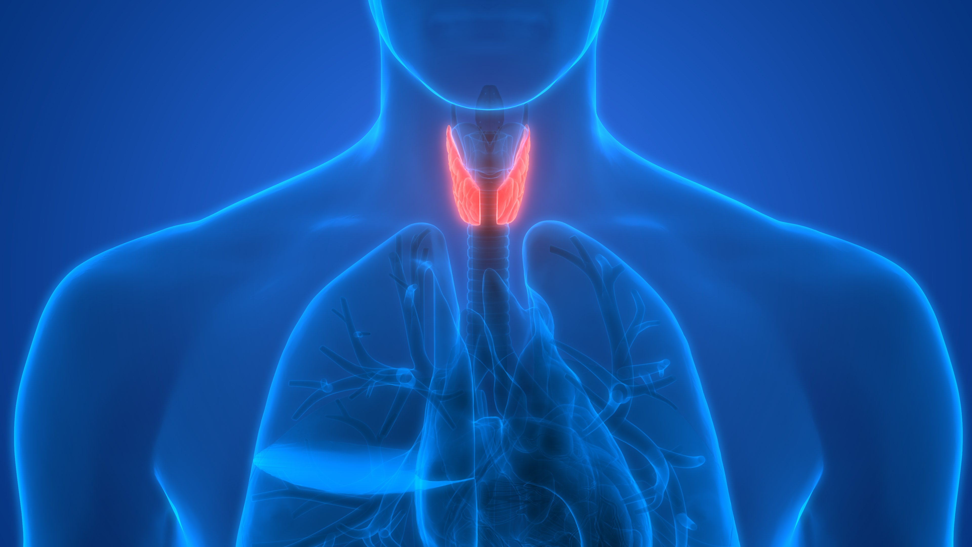 Treating the hyperthyroid patient with radioiodine