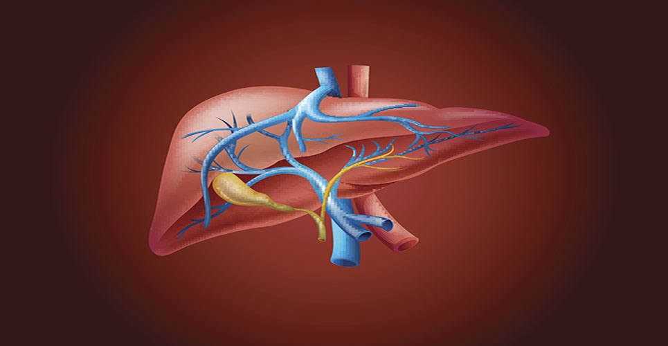 Positive outcomes in largest liver transplant trial to date