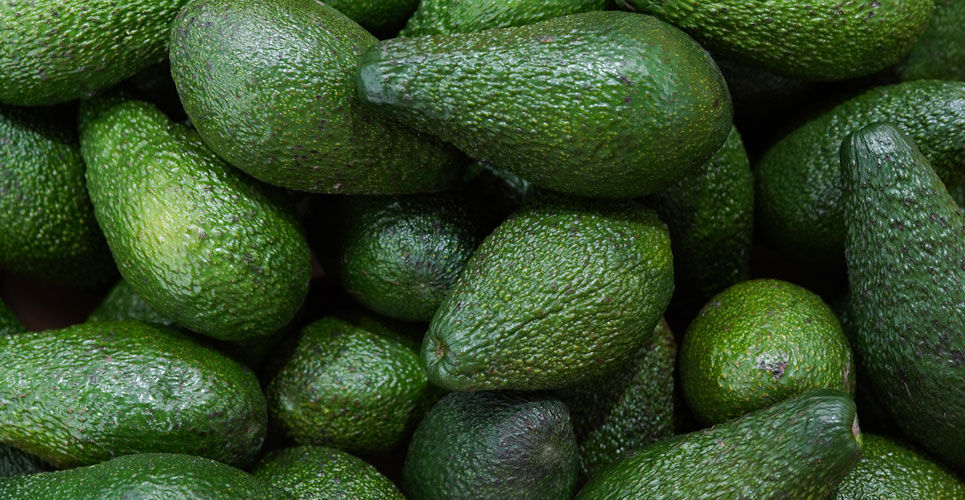 Daily avocado intake has no significant effect on visceral adiposity
