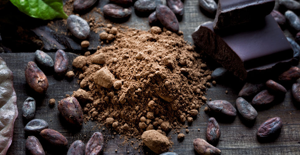 RCT finds cocoa flavanol supplement failed to reduce cardiovascular events