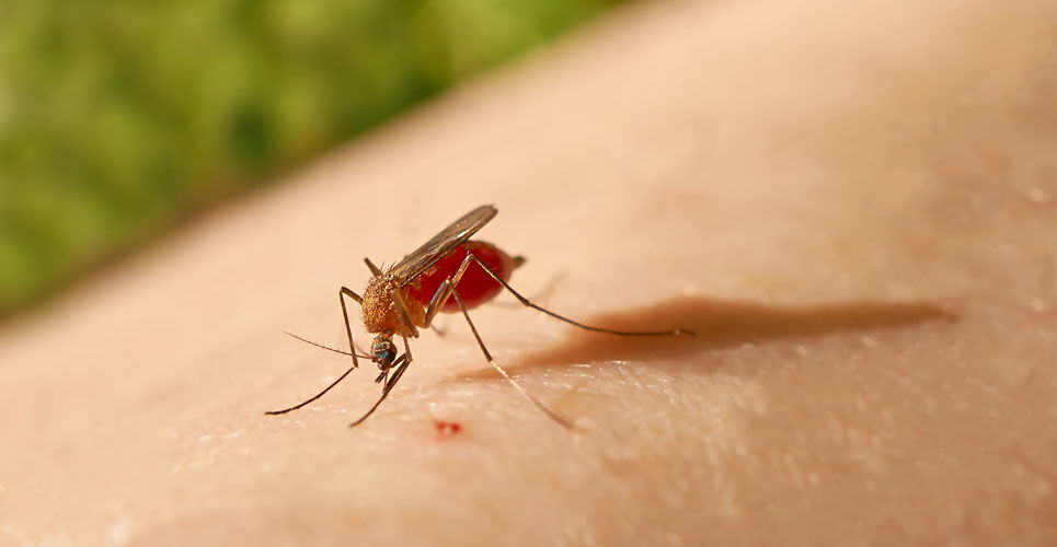 R21/Matrix-M vaccine protects against malaria in children over 2 year period