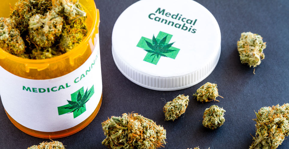 Medicinal cannabis reduces use of opiate-based painkillers