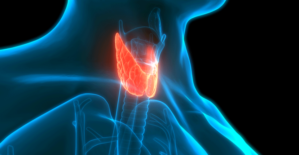 Thyroid cancer increases coronary heart disease risk