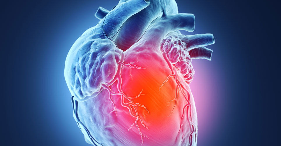 Angina gene therapy decreases episodes of chest pain