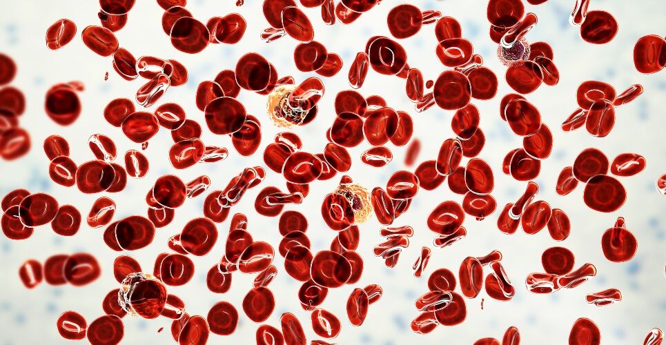 NICE approves ruxolitinib for treatment of the blood cancer polycythaemia vera