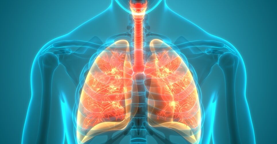 Potential cure for COPD found in lung progenitor cell transplant study