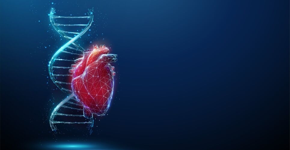 AI-powered personalised medicine project launches to optimise CVD treatment