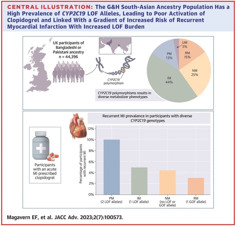 Figure 1. Prevalence of CYP2C19 LOF alleles in the Genes & Health study’s South-Asian ancestry population