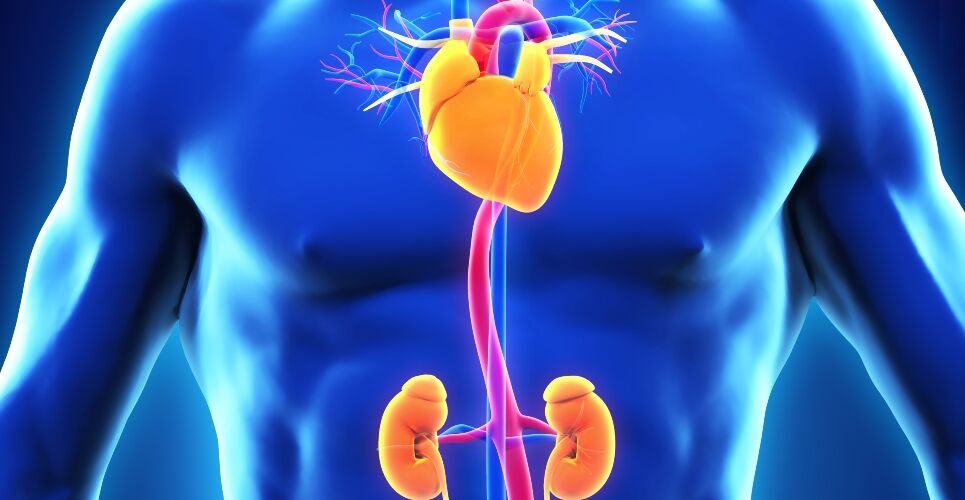 Simple treatment strategies could reduce high risk of myocardial infarction in kidney failure